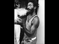 Lee Scratch Perry &  Beastie Boys  "Dr. Lee, PhD"