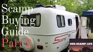 Our scamp buying guide part 2 Ep025