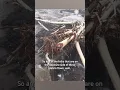 Hurricane Lala cuts off Hawaii community Homes destroyed
