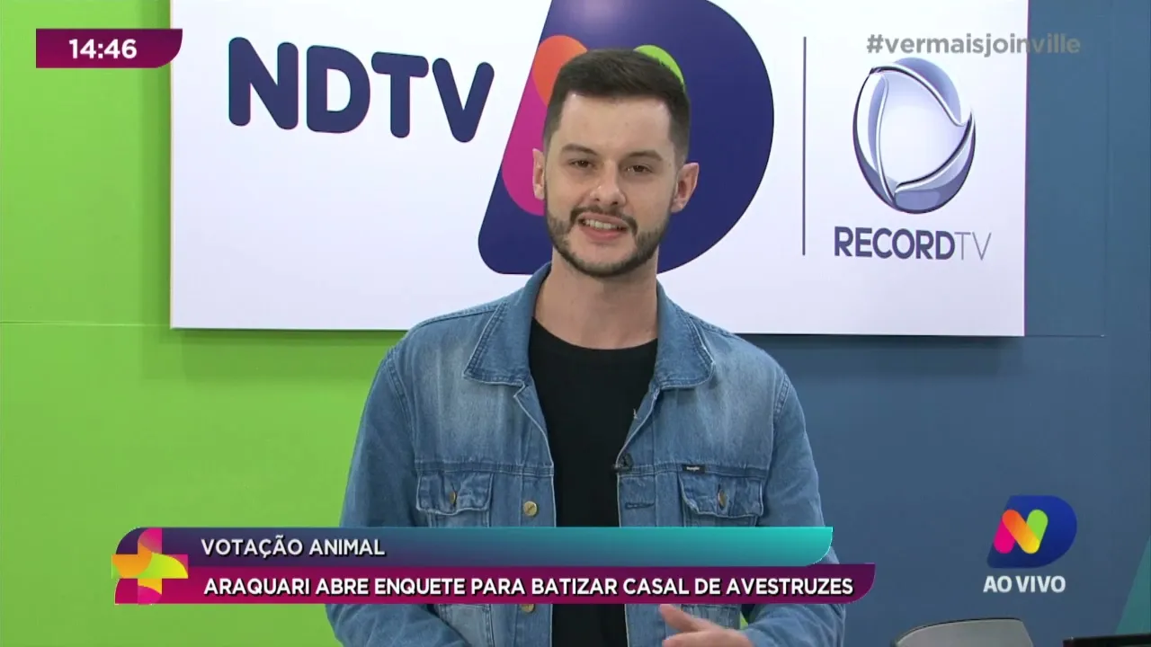 Votação animal: Araquari abre enquete para batizar casal de avestruzes
