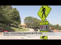 SCHP is alerting pedestrians and drivers to be more careful on the roadways