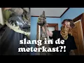 Download Lagu #73 Een SLANG in de meterkast?! | Wonen in Zweden