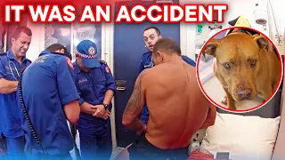 Craziest Animal Rescues & Encounters at Bondi Beach!