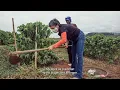 Download Lagu Movie Pill-Miriam, the woman who spreads seeds.