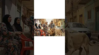 لما الحسد يقلب هزار شوفوا الست لما اتكلمت على الأسد حصلها إيه كوميدي ضحك ذكاء اصطناعي فيديو مضحك  لما الحسد يقلب هزار شوفوا الست لما اتكلمت على الأسد حصلها إيه كوميدي ضحك ذكاء اصطناعي فيديو مضحك