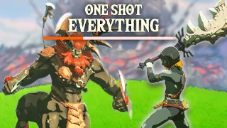 Can You Beat Tears Of The Kingdom By One Shotting Everything 