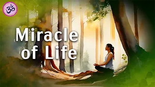The Miracle of Life, Guided Meditation, Life Force Energy Healing, Guided Visualization