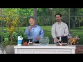 Veranda Living Greek Key Geo Border Rug or Runner on QVC
