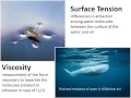 Water s Basic Chemical and Physical Properties