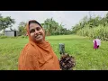Download Lagu ছেলের মা হয়ে শম্পা অনেক অহংকারী হয়ে গেছে | Doyel Agro