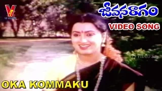 oka kommaku poochina poovulam video song jeevana raagam shoban babu jayasudha v9 videos
