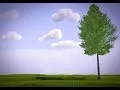 How to Create a Tree Using Arbaro and Blender 3D