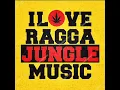 Download Lagu Dj  Alex Alenc/ Ragga Jungle DnB Mix