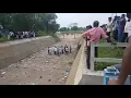 Download Lagu River coming ,,, Our farmers are welcoming the river with poojai