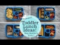 Toddler Lunch Ideas Bento Box - Healthy Easy Kosher