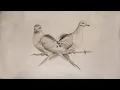 Download Lagu For When You Can't Breathe - Mourning Doves (Lyric Video) MP3