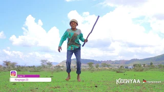 Yaa Lammacha Koo New Free Style Music Official Video 2020 