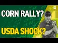 Record Acreage Tight Supplies What the New USDA Report Means for Grain Prices