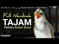 Download Lagu TRUCUKAN GACOR NEMBAK EMOSI || pancingan, masteran terbaik untuk trucuk dan burung lainya
