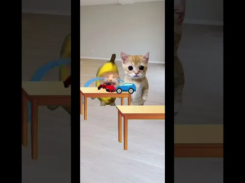 elgato and banana cat #bananacat #happycat #catmemes #animation #shorts