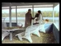 Павел Зибров  "Женщина любимая"