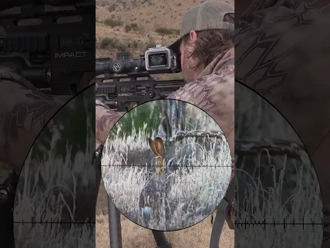 PERFECT Headshot with the FX Impact - Hare Hunting
