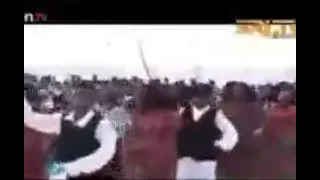 الفنان محمد إبراهيم حجاج 