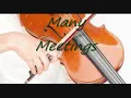 Many Meetings on violin -- The Lord of the Rings Soundtrack