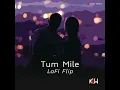 | PritamTum Mile (Lofi Video): Emraan Hashmi | Soha Ali| Javed Ali | KSW