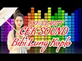 Download Lagu CEK SOUND BIBI LUNG KOPLO CLARITY // Cocok untuk cek sound hajatan