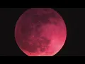 Download Lagu Blood moon happening right now! Get ready folks!