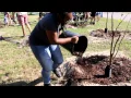 Brandon Campus Students for the Environment - The Food Forest