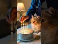 Download Lagu Cerita Sedih Seorang Dokter Menyalakan Lilin untuk Seekor Kucing Kecil yang sakit dan Berani 🎂💔