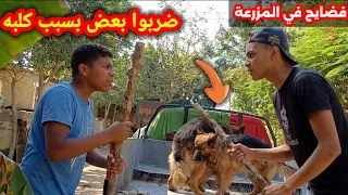 ضربوا بعض بسبب كلبه 🔥 جواز كلبه اتحول لمشاجره بين الأخوات. 