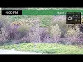 Live Camera Axis P5655-E