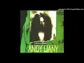 Andy Liany - Sanggupkah - Composer : Pay & Andy Liany  & Rustam 1993 (CDQ)