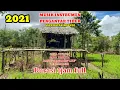 Download Lagu Instrument Musik Sape Dayak Borneo No Copyright Terbaru 2021