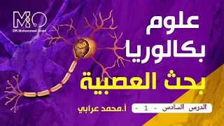 الدرس السادس عصبية القسم الأول المدرس محمد عرابي 