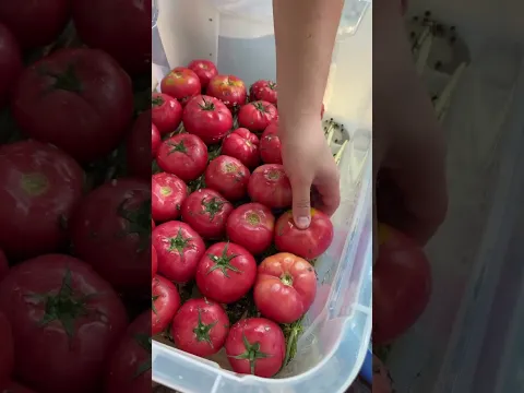 #food
