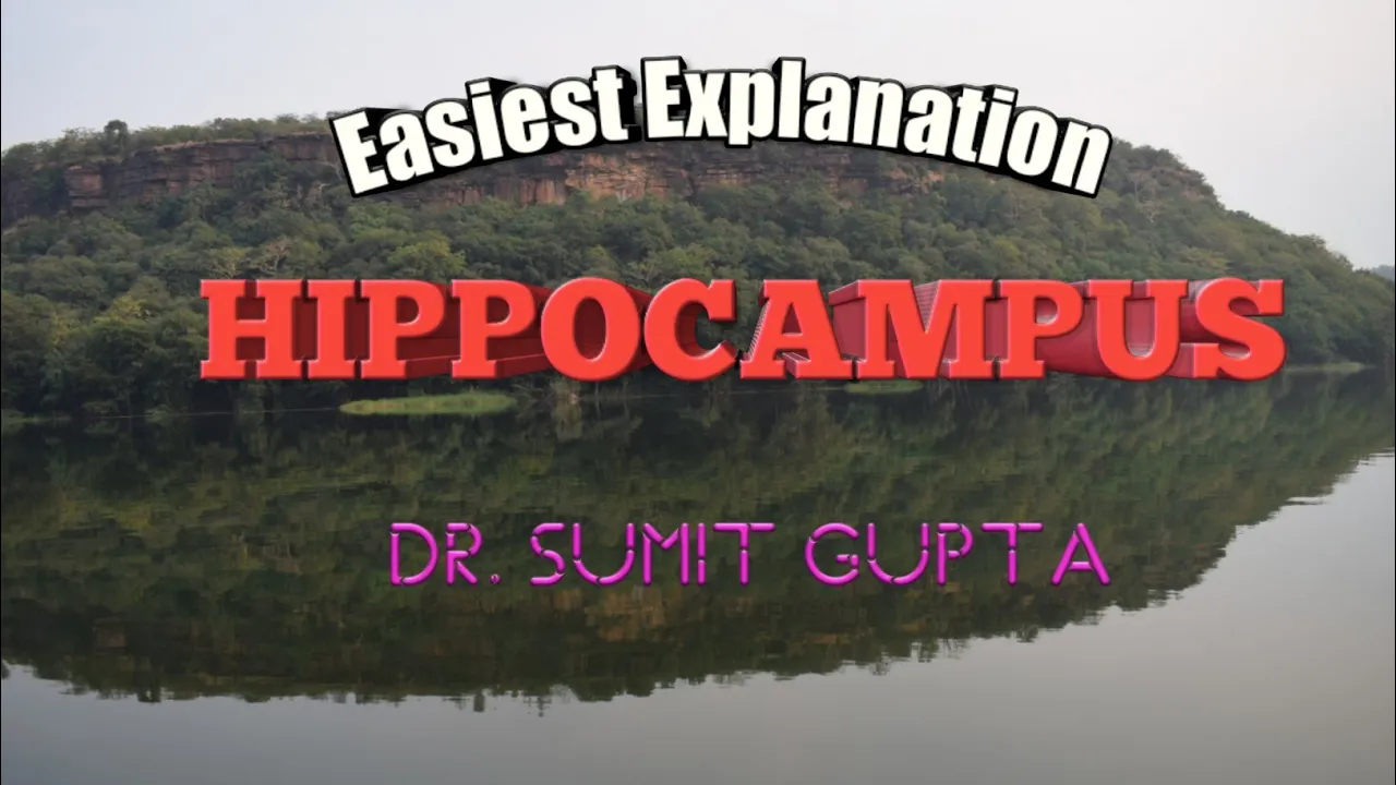 Hippocampus