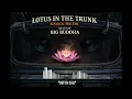 Lagu Knock Muzik: Lotus in the Trunk - \