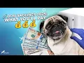 How Much Do Puppy Dog Vaccinations Cost in 2025
