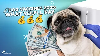 How Much Do Puppy Dog Vaccinations Cost in 2025