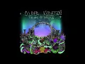OLIVER KOLETZKI - TANKWA TOWN (Serkan Demirhan Original remix)