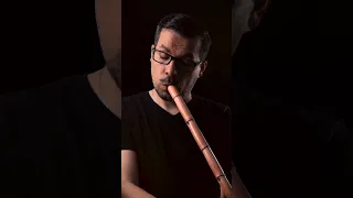 Eoon El Elb Nay عيون القلب ناي محمد فتيان  Eoon El Elb Nay عيون القلب ناي محمد فتيان