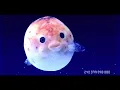 Fatboy Slim - Right Here, Right Now [Official 4K Video]