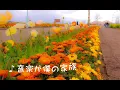 【ウクレレ弾き語り】音楽が僕の家族/リメンバー・ミー/ハモリ遊び