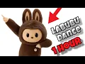 Lagu The Labubu 1 Hour Dance | DJ Osama | Meme Dance Labubu