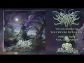 Download Lagu Signs of the Swarm  - \