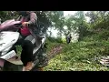 Download Lagu OBJEK WISATA ANAK NAGARI TANJUNG BARULAK